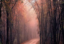 皇冠体育：[冰雪]黑龙江省三队夺得混双项目金牌.