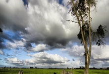 皇冠体育：[球之夜]20250306 青春风暴.